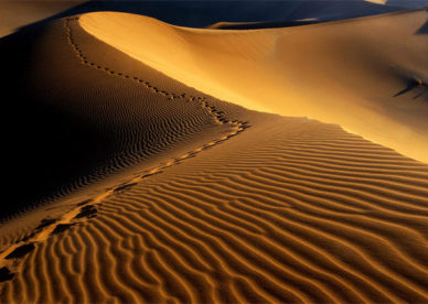 أروع صور صحراء الجزيرة العربية The Arabian Peninsula Desert Images- عالم الصور